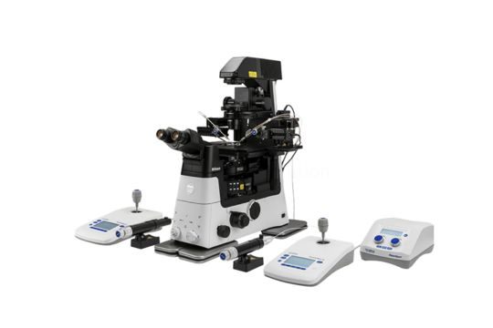 Essential Microscope Accessories for Medical Labs